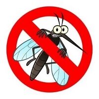 icona lotta alle zanzare