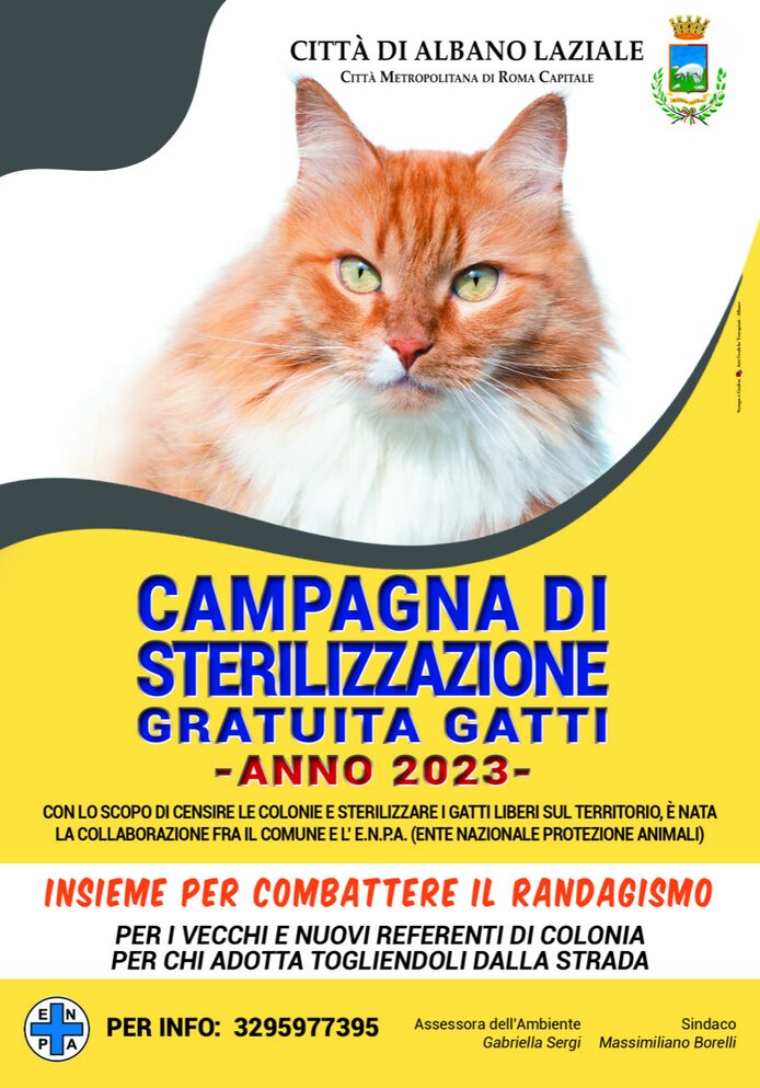 Immagine Campagna sterilizzazione gratuita gatti - Anno 2023