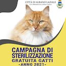 Icona Campagna sterilizzazione Gatti